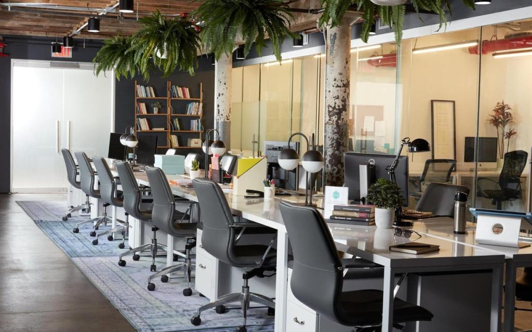 Designing the Ideal Office Workspace